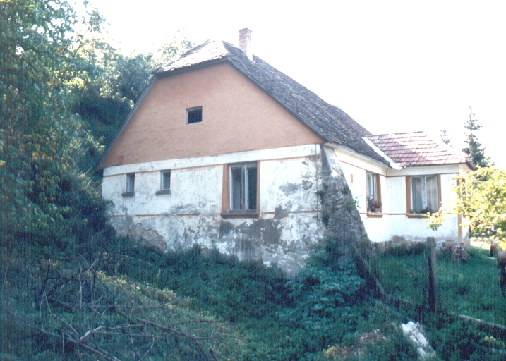 Kruckenberger-Mühle (Wagnöder malom)