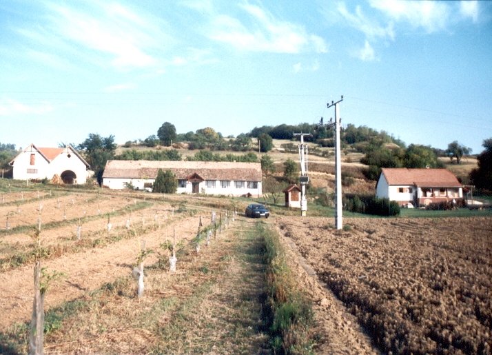 Konstanzer-Mühle