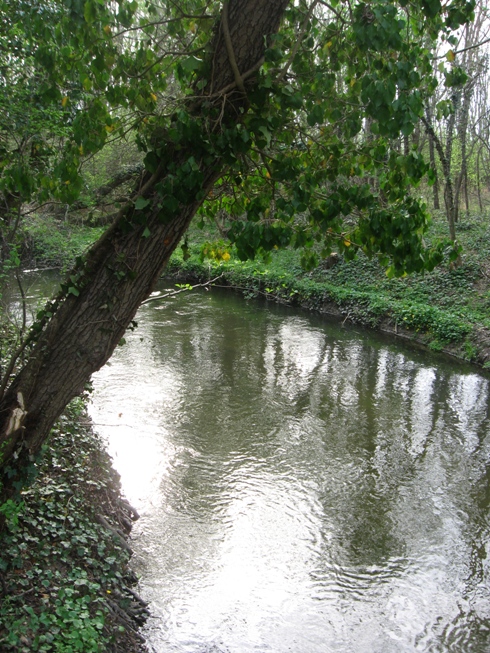 A Répce folyó a csánigi Skultéty malom mellett